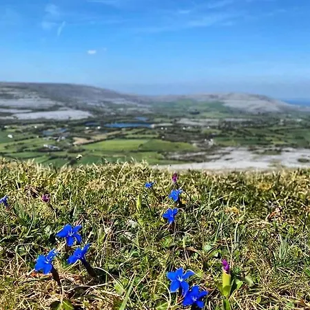 Burren Rock Bed & Breakfast