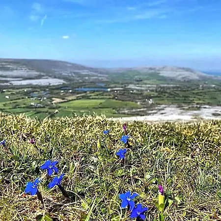 Burren Rock Bed & Breakfast