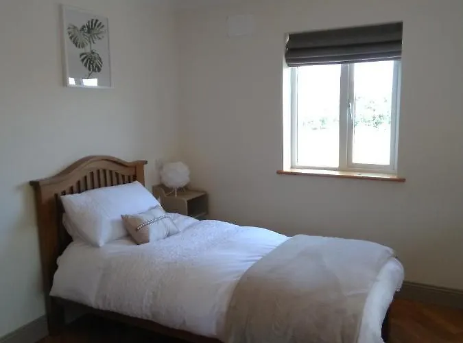 Burren Rock * Turlough (Clare)