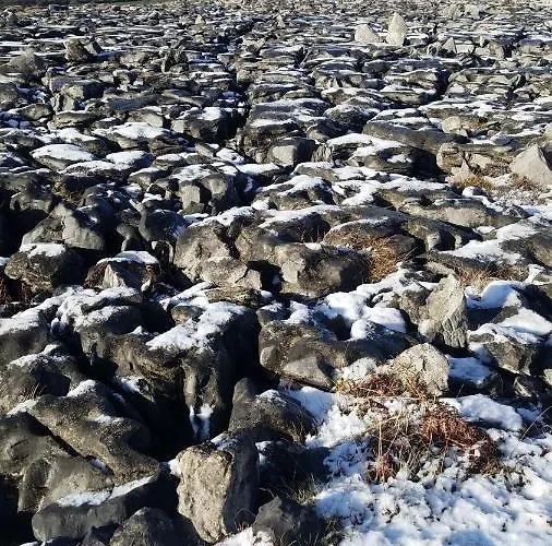 Burren Rock 3* Turlough (Clare)