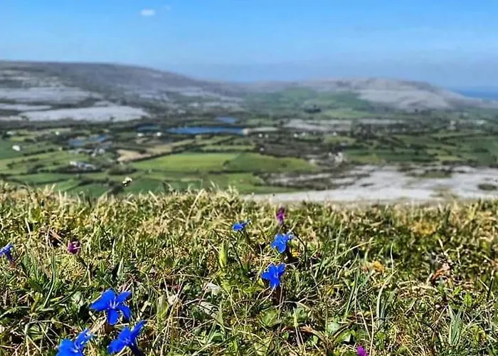Burren Rock לינה וארוחת בוקר